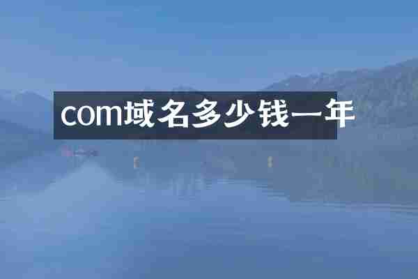 com域名多少钱一年