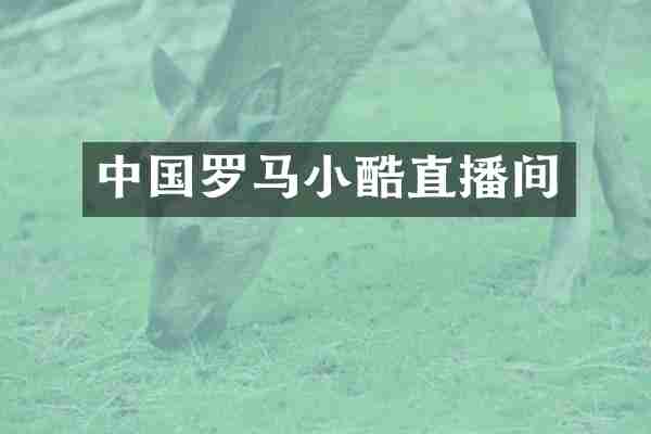中国罗马小酷直播间