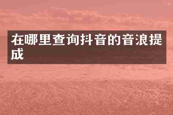 在哪里查询抖音的音浪提成
