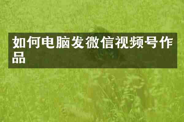 如何电脑发微信视频号作品