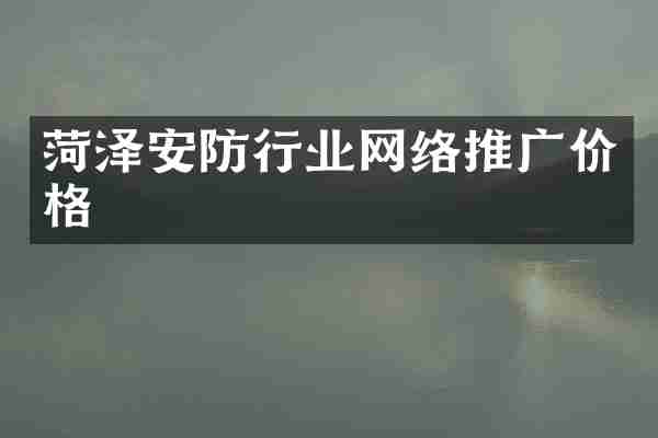 菏泽安防行业网络推广价格