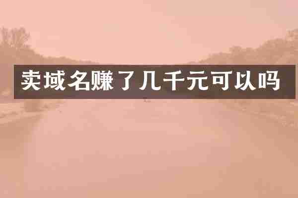 卖域名赚了几千元可以吗