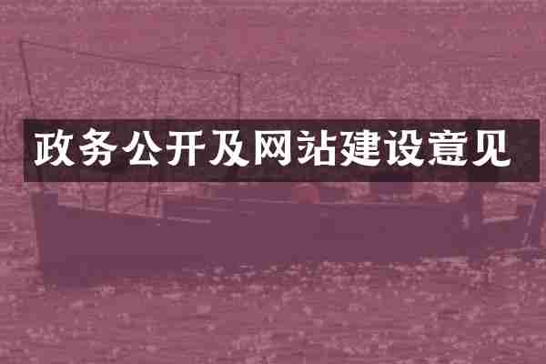 政务公开及网站建设意见