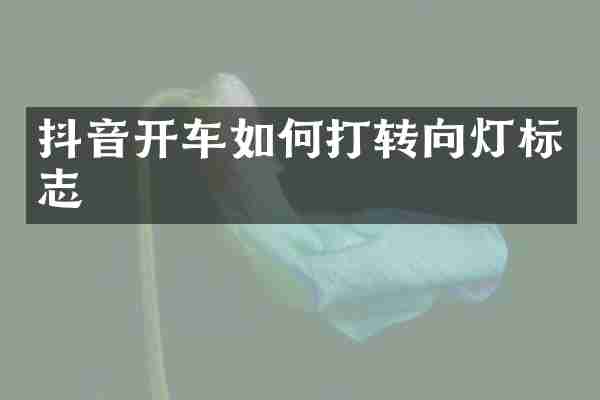 抖音开车如何打转向灯标志