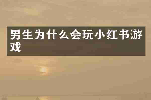 男生为什么会玩小红书游戏