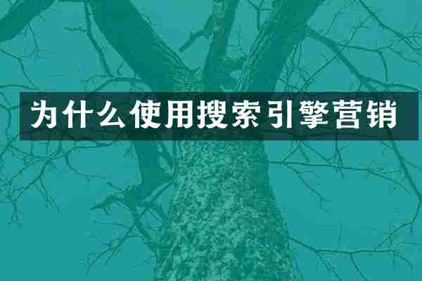 为什么使用搜索引擎营销