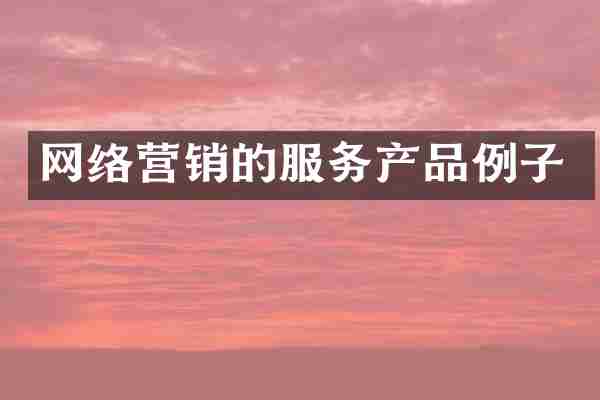 网络营销的服务产品例子