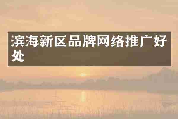滨海新区品牌网络推广好处