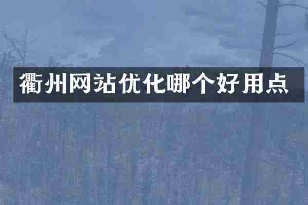 衢州网站优化哪个好用点