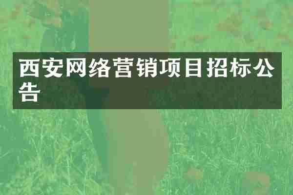 西安网络营销项目招标公告