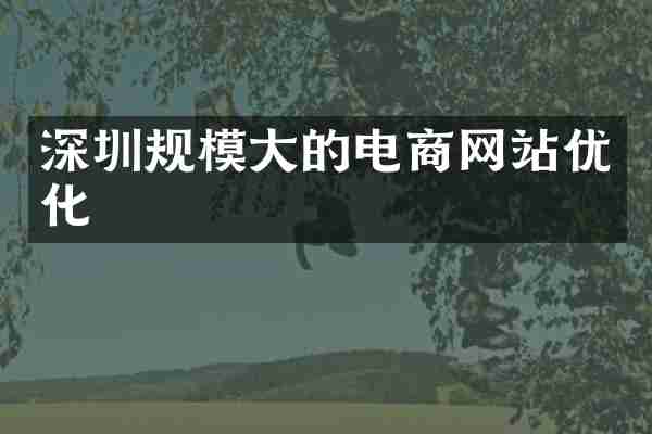 深圳规模大的电商网站优化