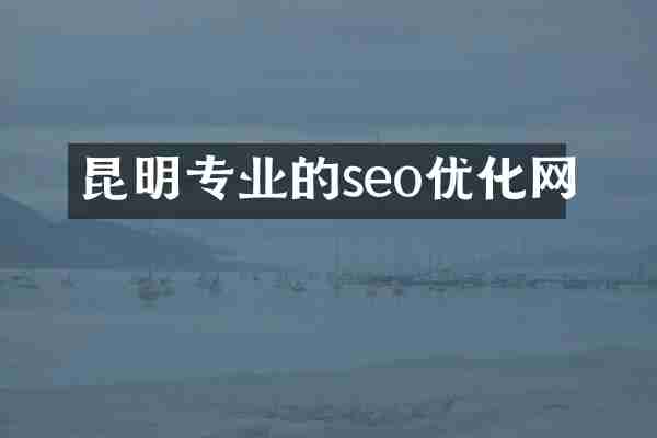 昆明专业的seo优化网