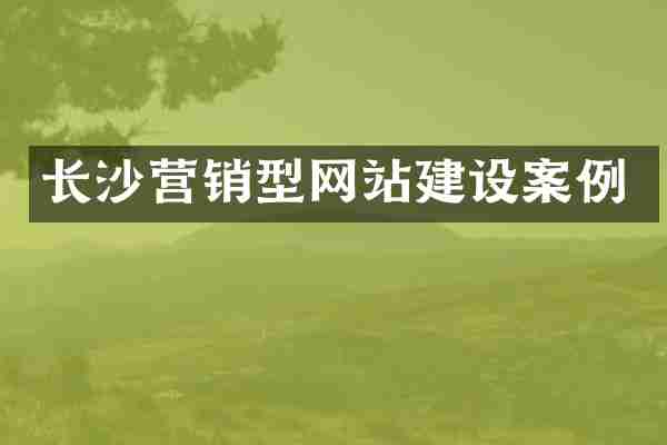长沙营销型网站建设案例