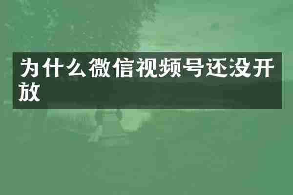 为什么微信视频号还没开放