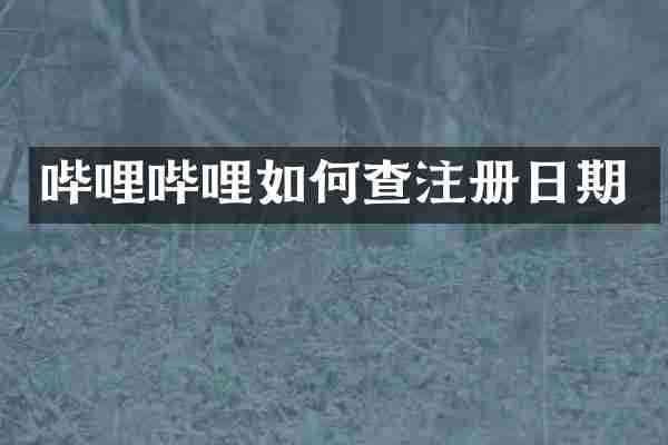 哔哩哔哩如何查注册日期