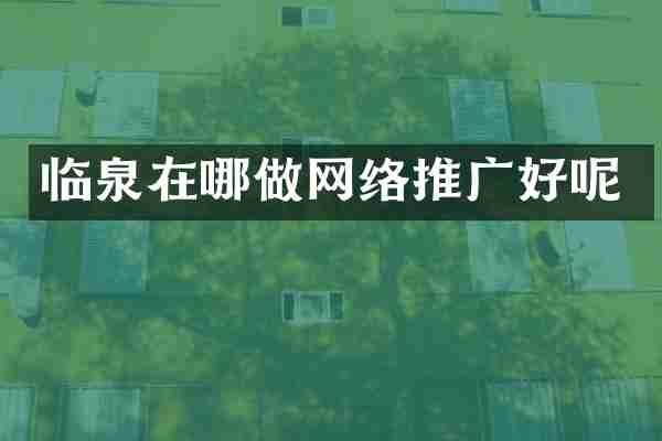 临泉在哪做网络推广好呢