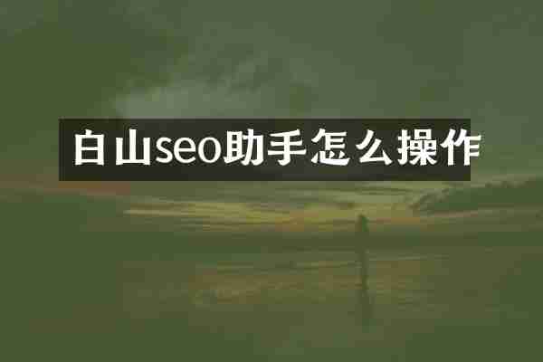 白山seo助手怎么操作