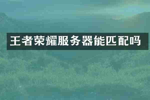 王者荣耀服务器能匹配吗