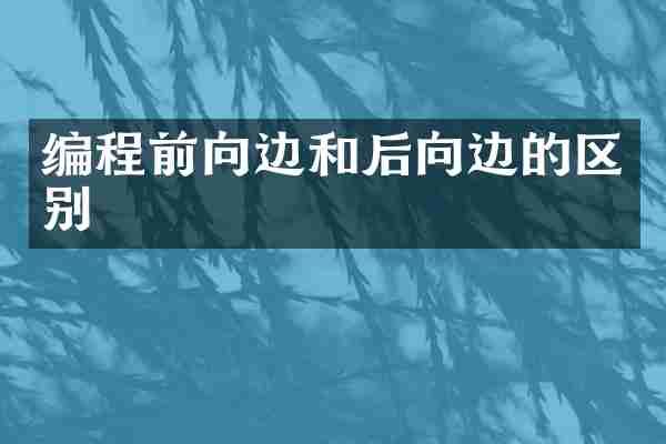 编程前向边和后向边的区别
