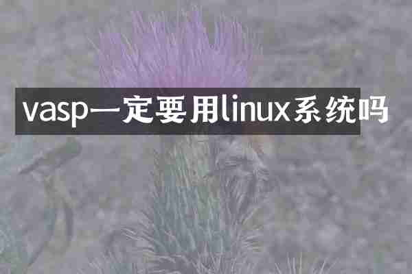 vasp一定要用linux系统吗