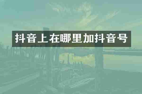 抖音上在哪里加抖音号
