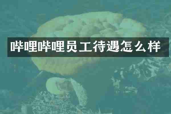 哔哩哔哩员工待遇怎么样
