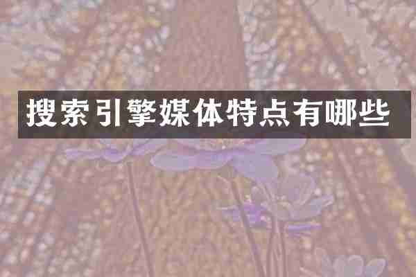 搜索引擎媒体特点有哪些