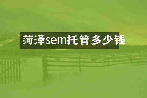 菏泽sem托管多少钱