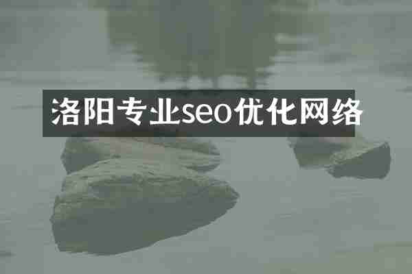 洛阳专业seo优化网络