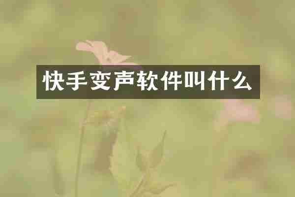 快手变声软件叫什么