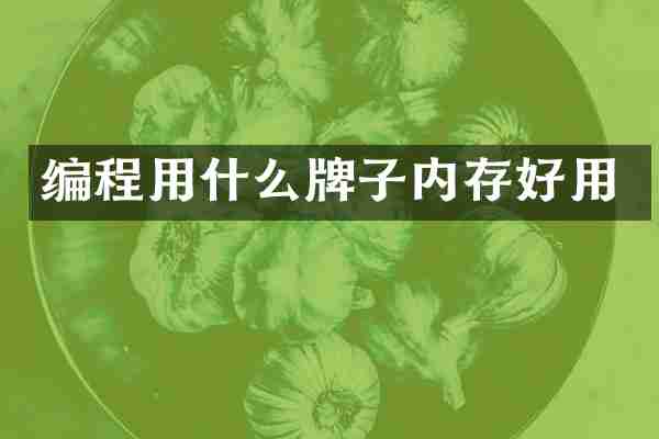 编程用什么牌子内存好用