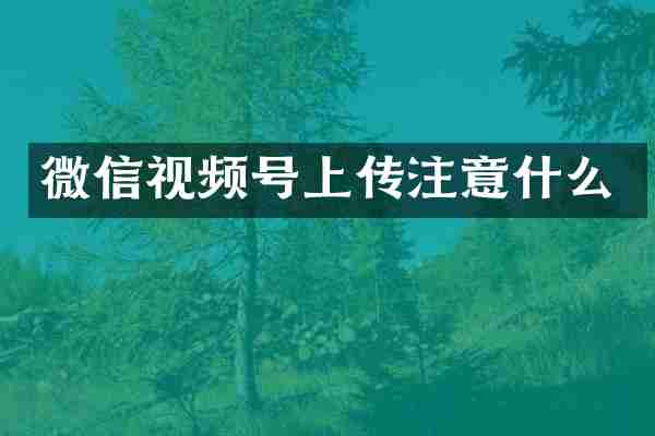 微信视频号上传注意什么
