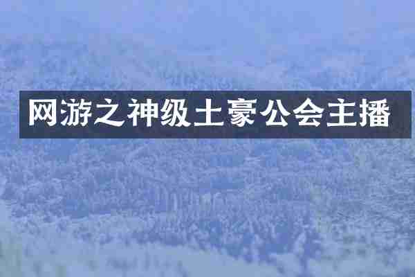网游之神级土豪公会主播