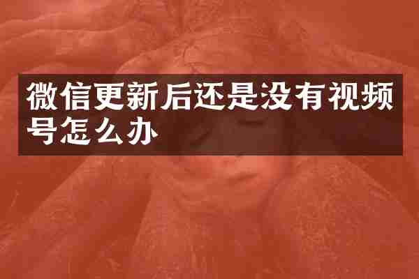 微信更新后还是没有视频号怎么办