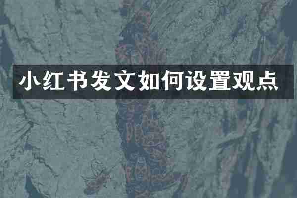 小红书发文如何设置观点
