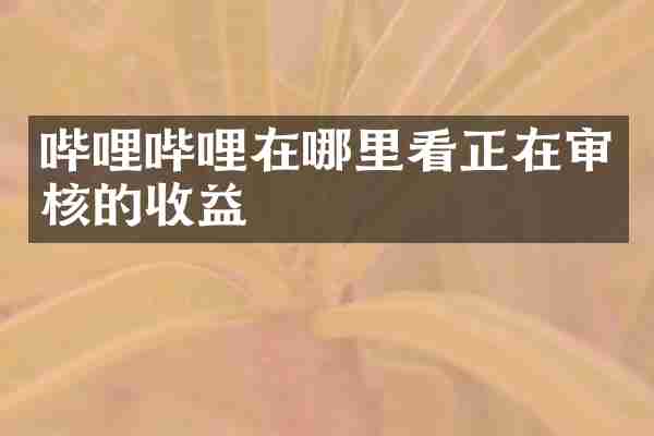 哔哩哔哩在哪里看正在审核的收益