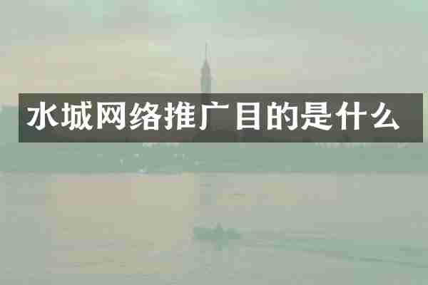 水城网络推广目的是什么