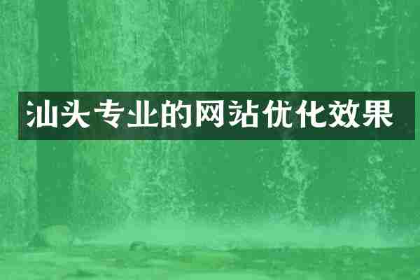 汕头专业的网站优化效果