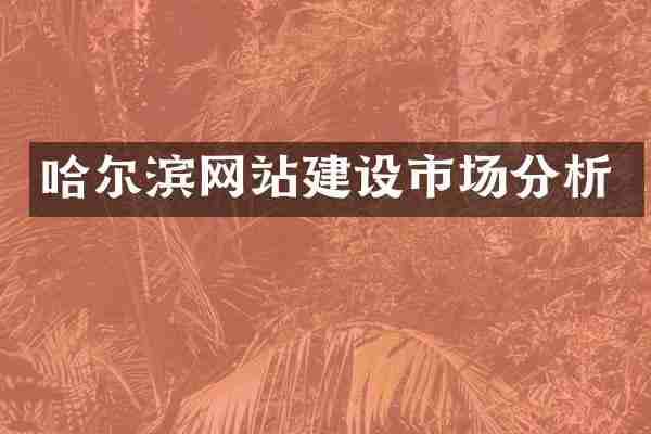 哈尔滨网站建设市场分析