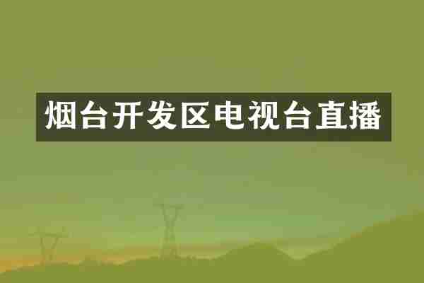 烟台开发区电视台直播