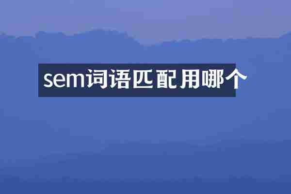 sem词语匹配用哪个