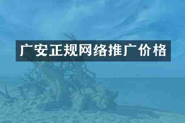 广安正规网络推广价格