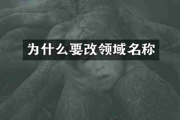为什么要改领域名称