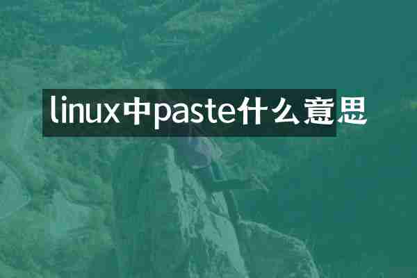 linux中paste什么意思