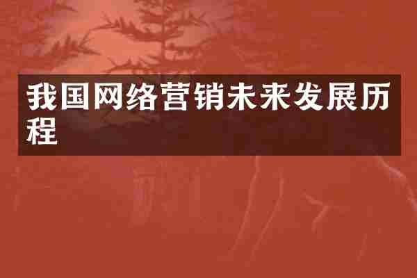 我国网络营销未来发展历程