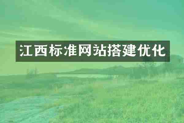 江西标准网站搭建优化