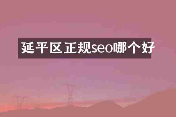 延平区正规seo哪个好