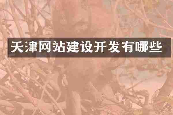 天津网站建设开发有哪些
