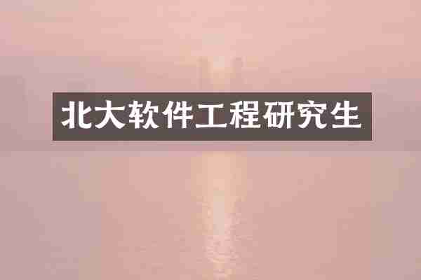 北大软件工程研究生