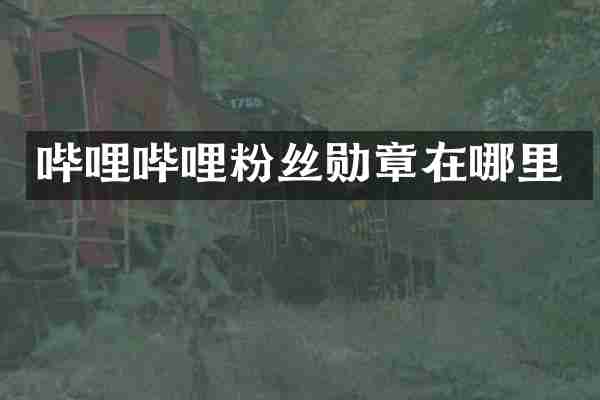 哔哩哔哩粉丝勋章在哪里